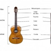 Les guitares acoustiques