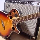 La guitare électro-acoustique