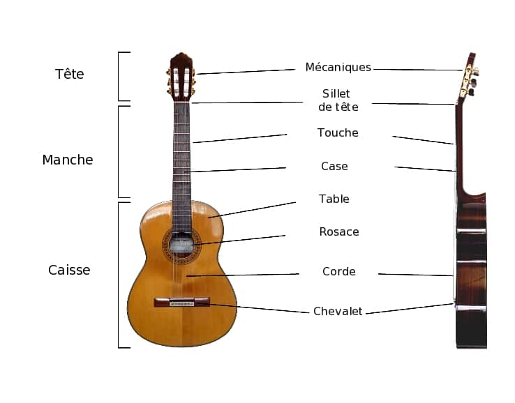 Les types de guitares acoustiques - Formes de corps - MagicGuitare